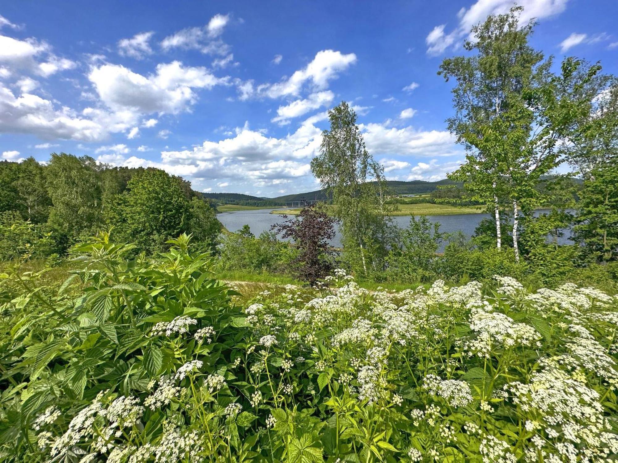 Feriendorf Seeblick - Tinyhouse Direkt Am See Neunburg vorm Wald Ngoại thất bức ảnh